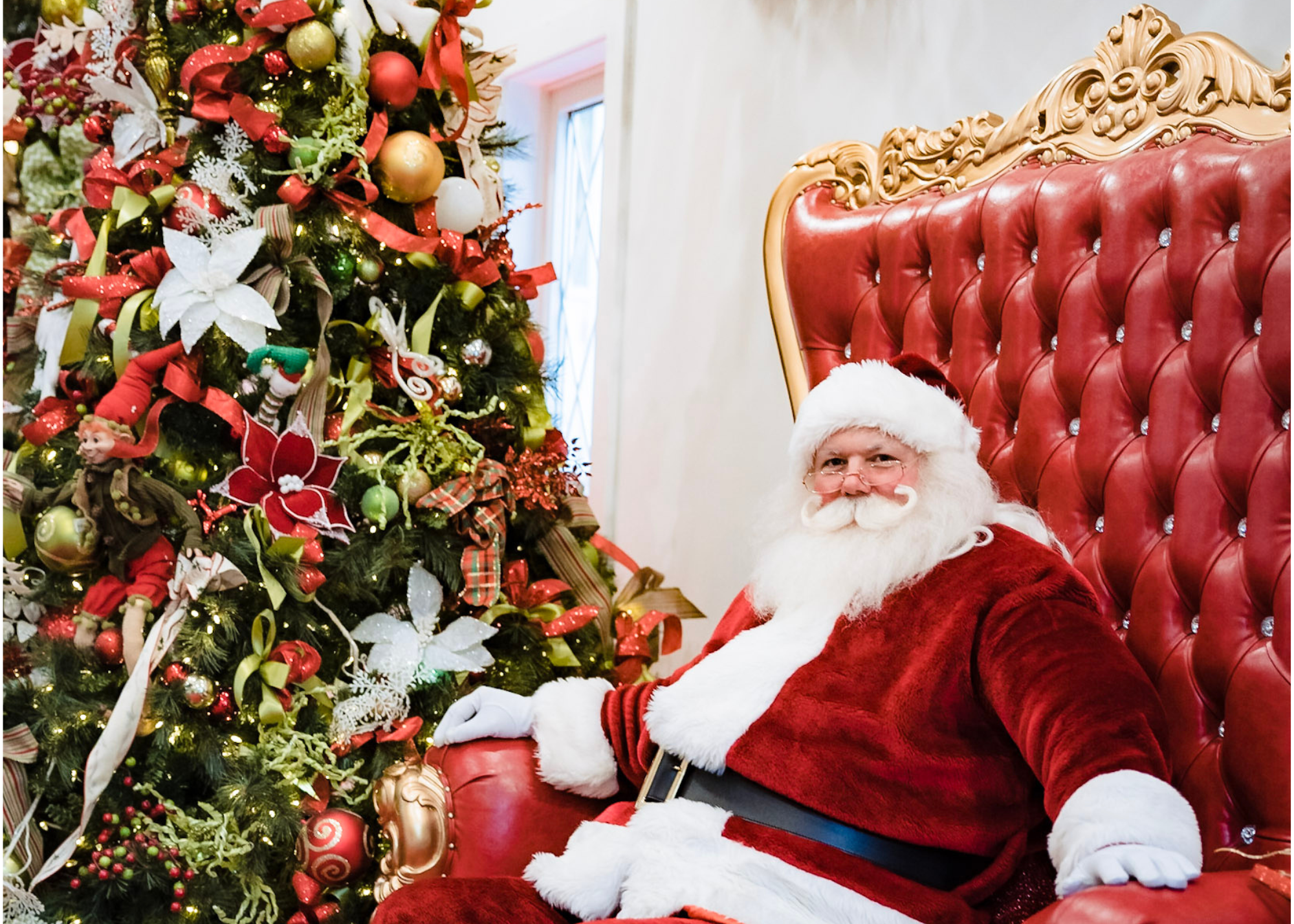 Santa Web Banner.png