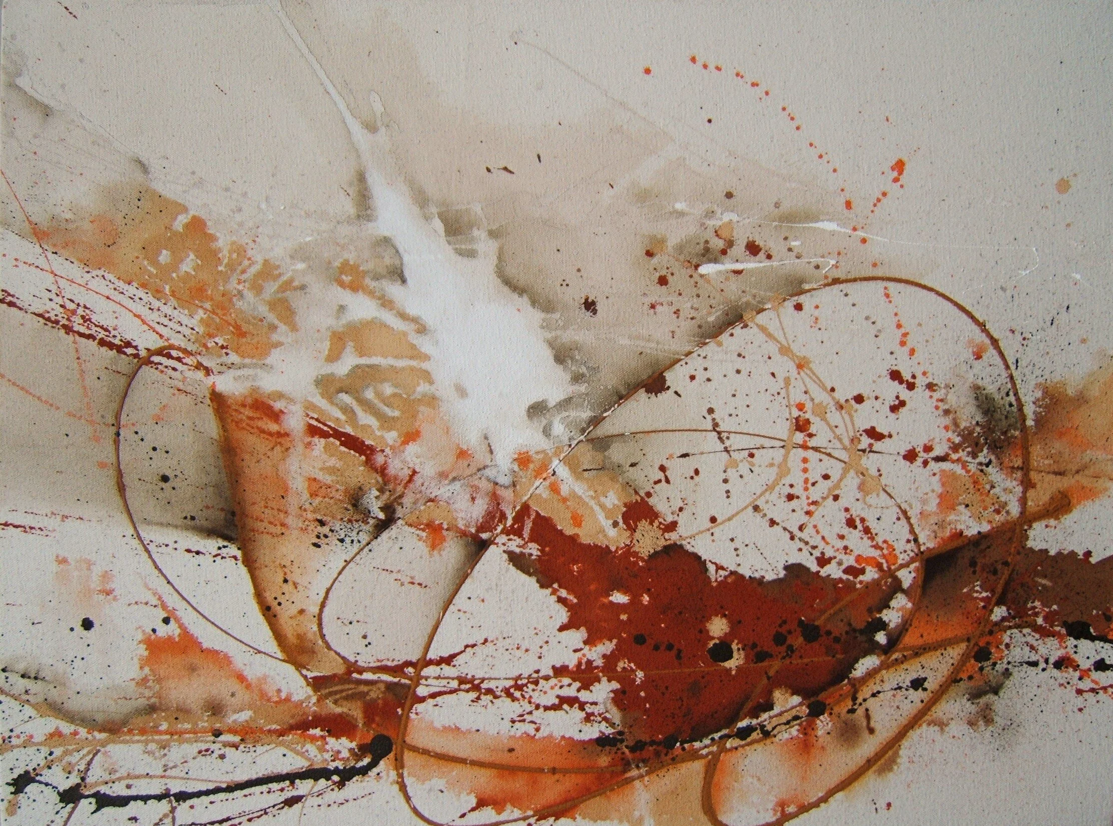 Orange Outburst.JPG