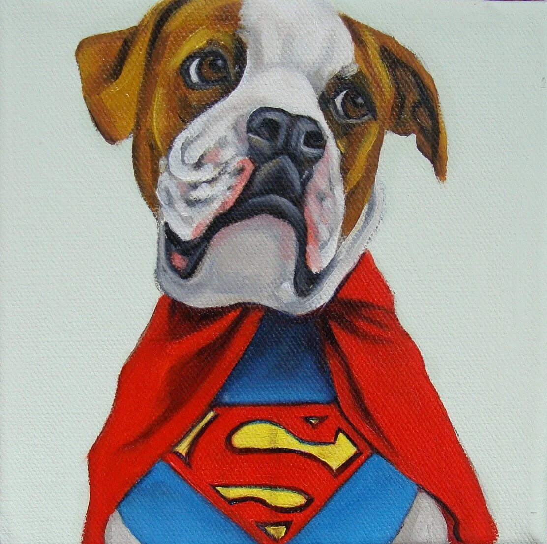 Superman Boxer 8m.JPG