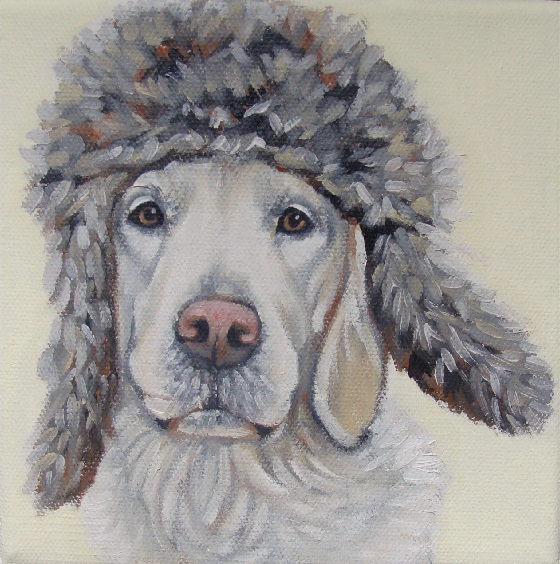 Retriever Fur hat 8m.JPG