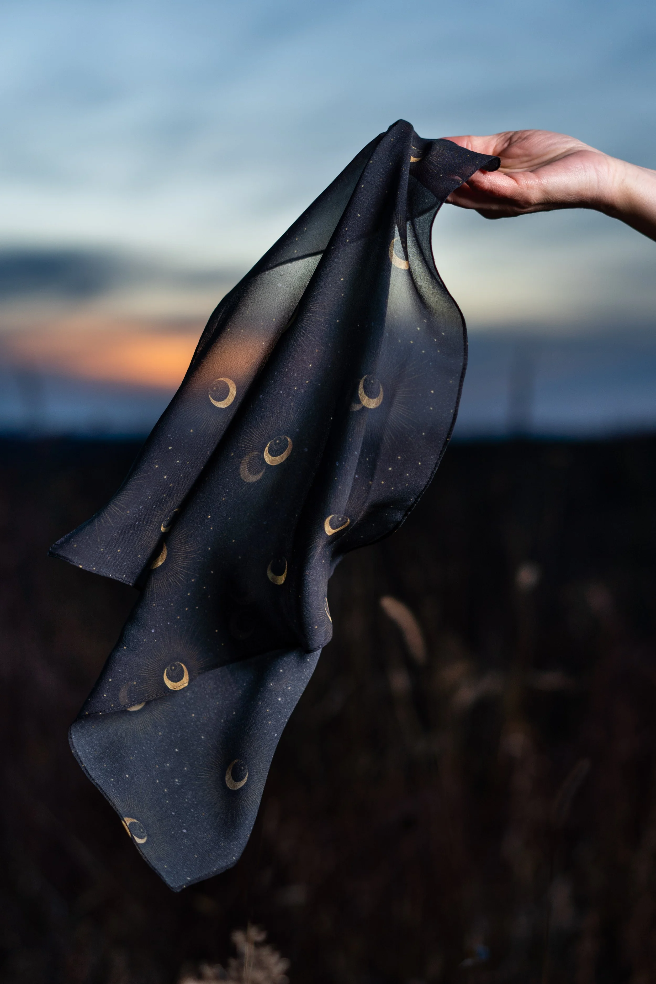 A7305693-Edit.jpg
