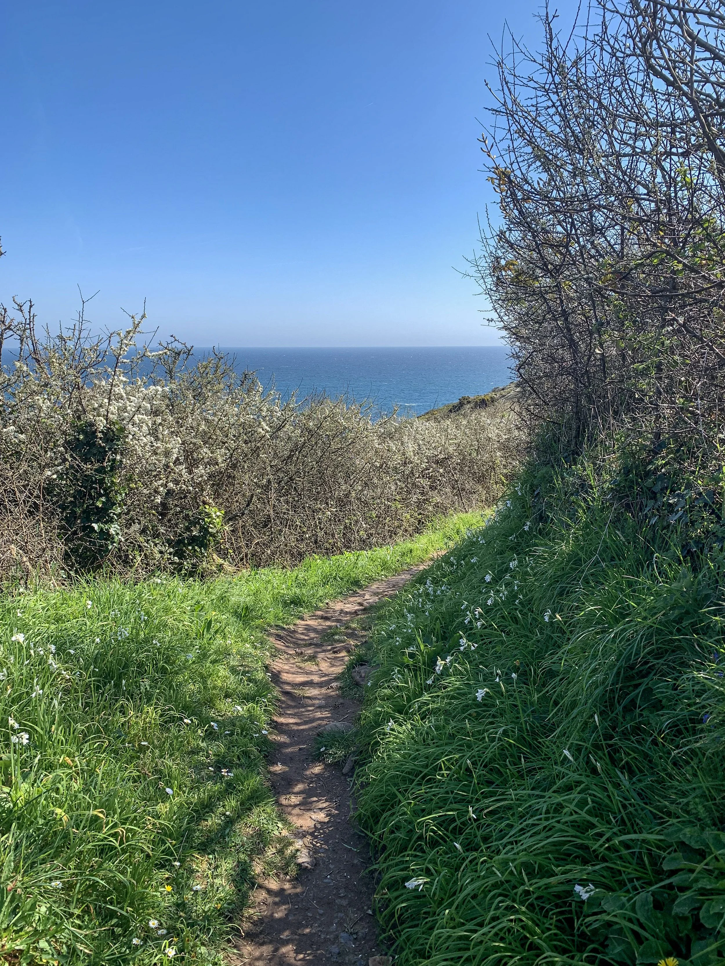 South West Coast Path with views over the sea