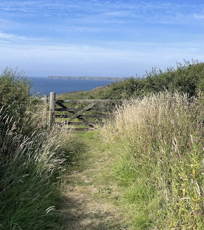 First view of Lizard Point from footpath