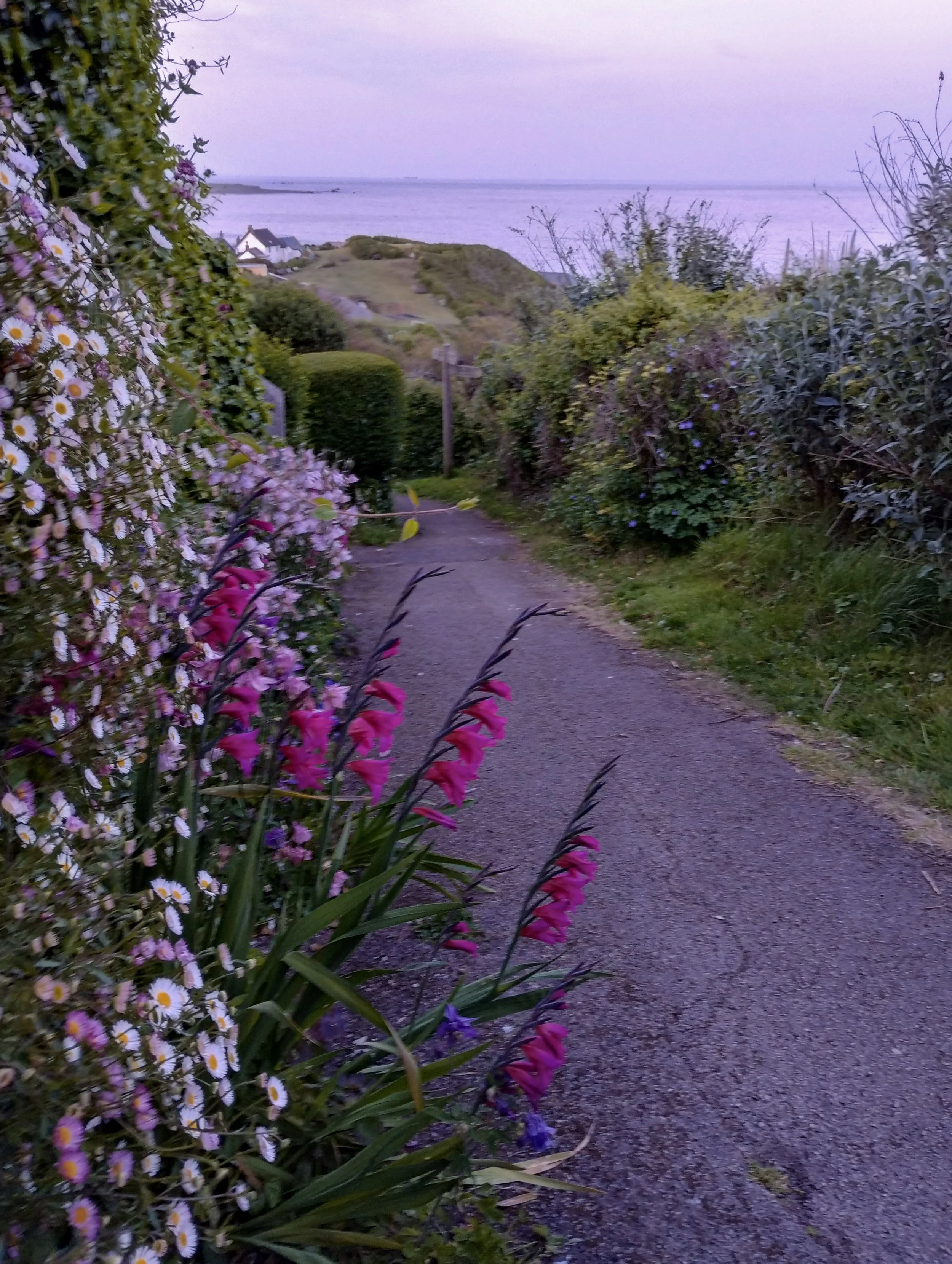 South West Coast Path at Sunny Corner