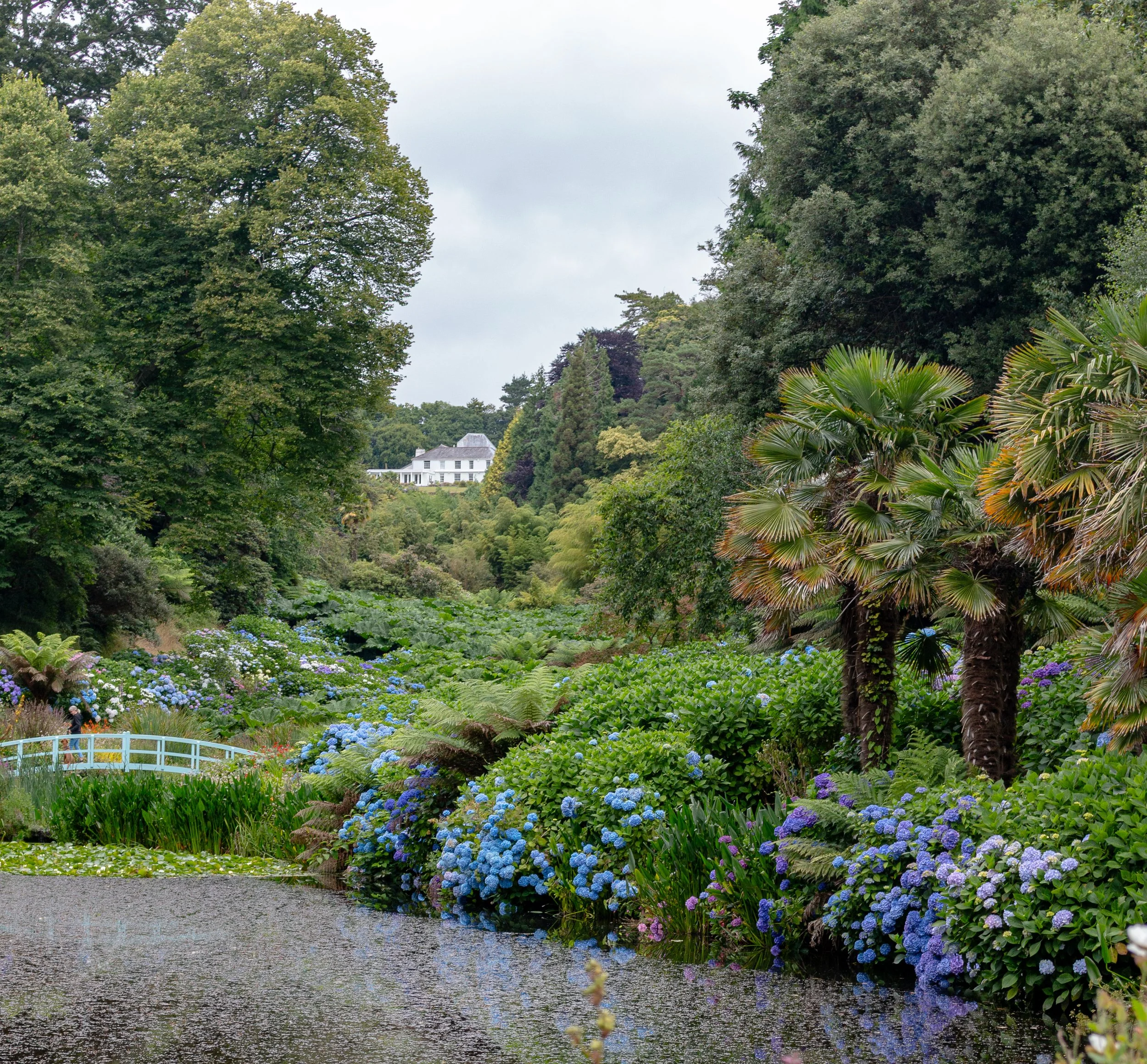Trebah Gardens Looking up to Main House