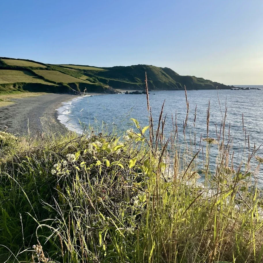 Godrevy Cove from Dean Point