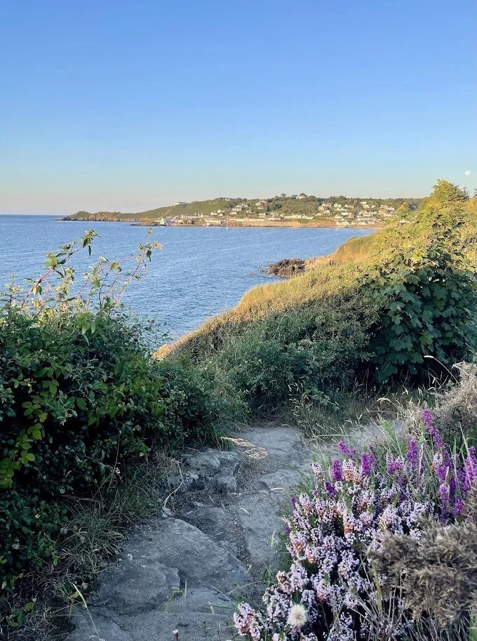 Distant Coverack & Chynalls Point