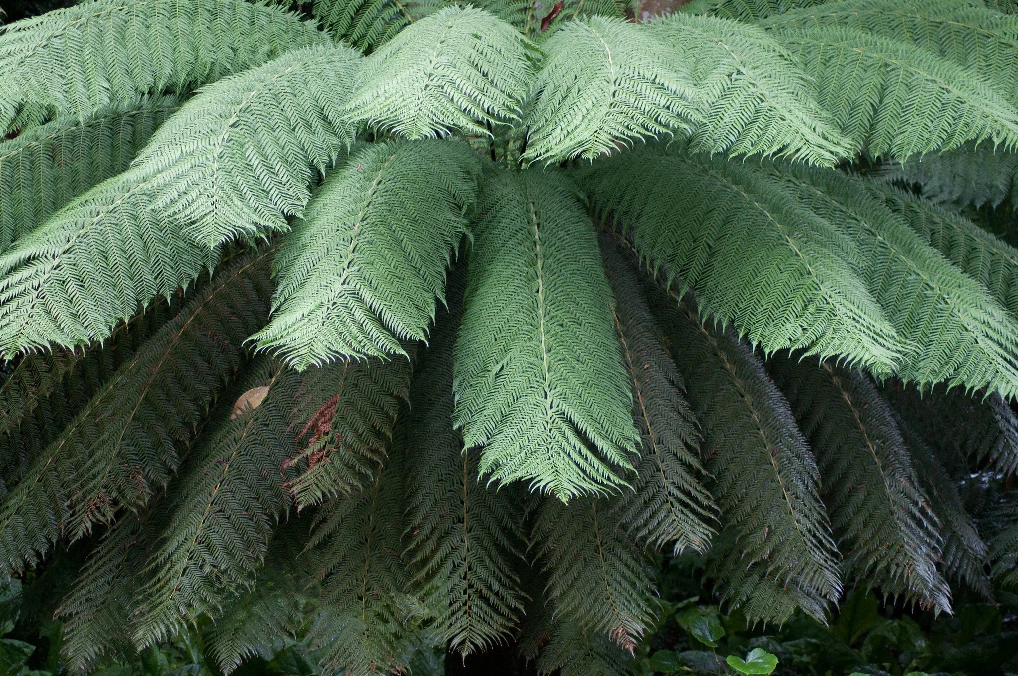 4878163671_002108e8b1_k.jpg