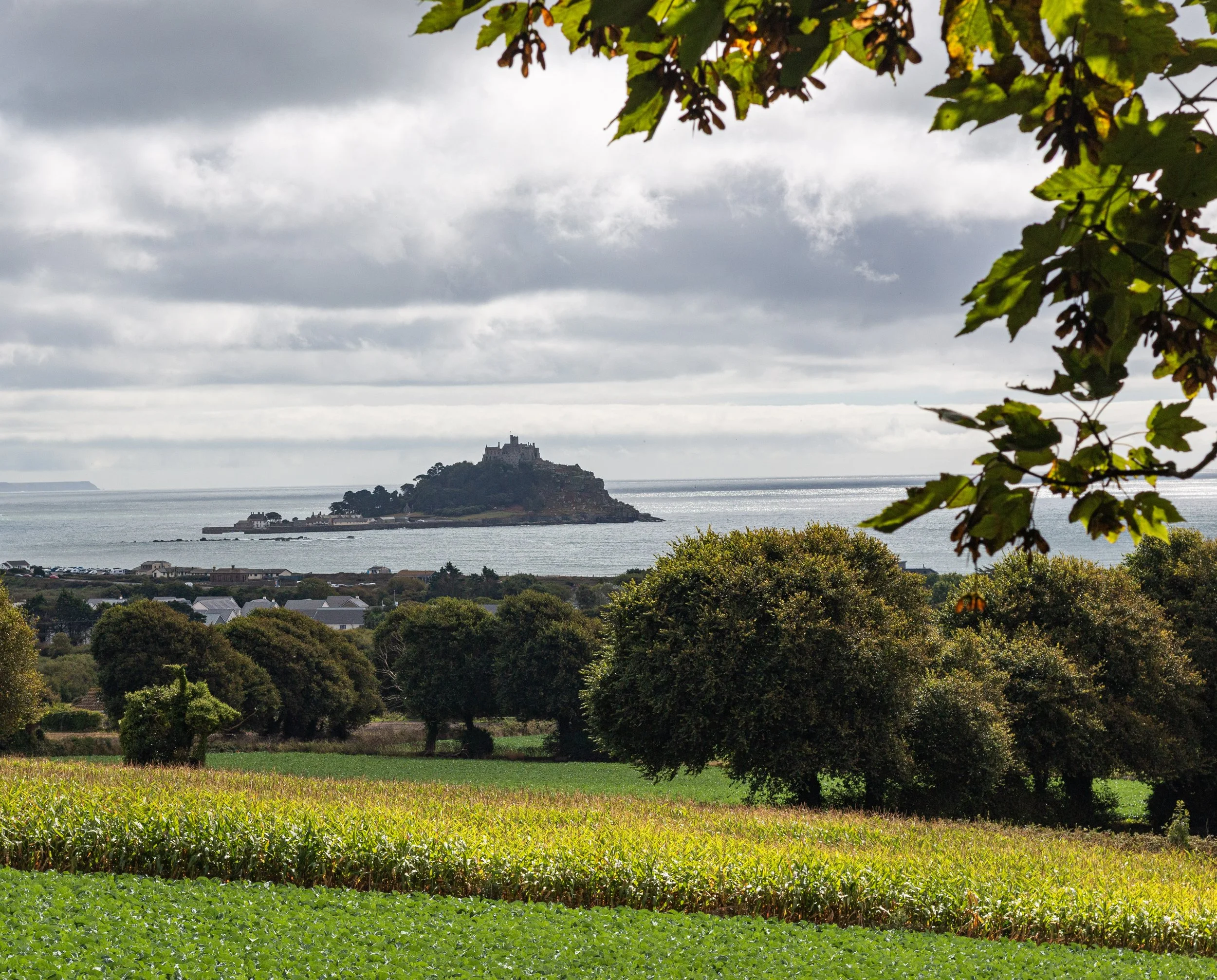 View of St Michael's Mount from Tremenheere Sculpture Gardens
