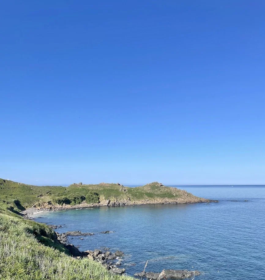 Chynalls Point and Porthbeer Cove known locally as Mears Beach