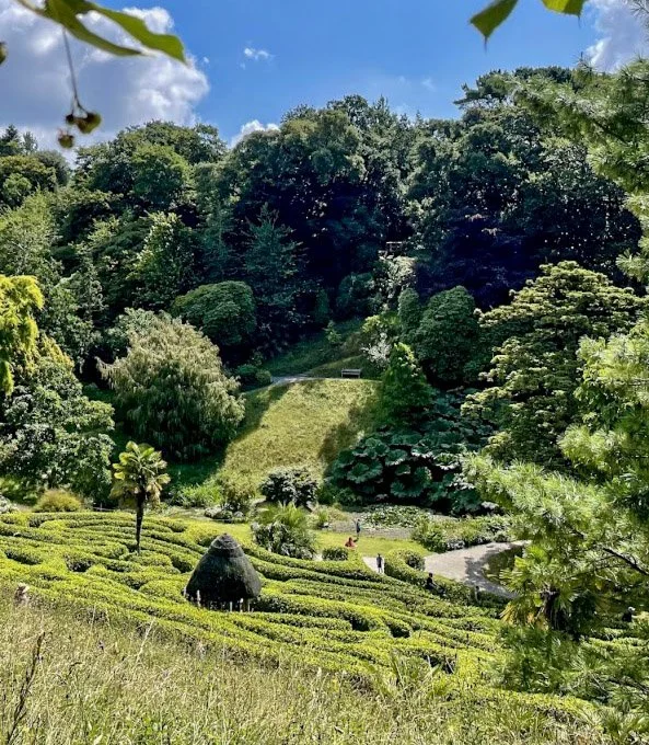 Glendurgan maze from behind.jpg
