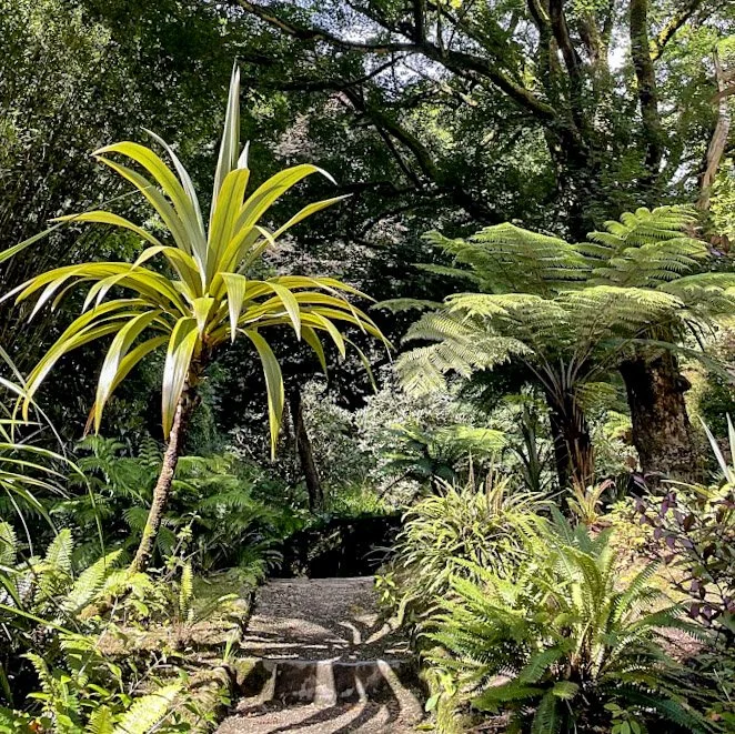 Glendurgan (1).jpg