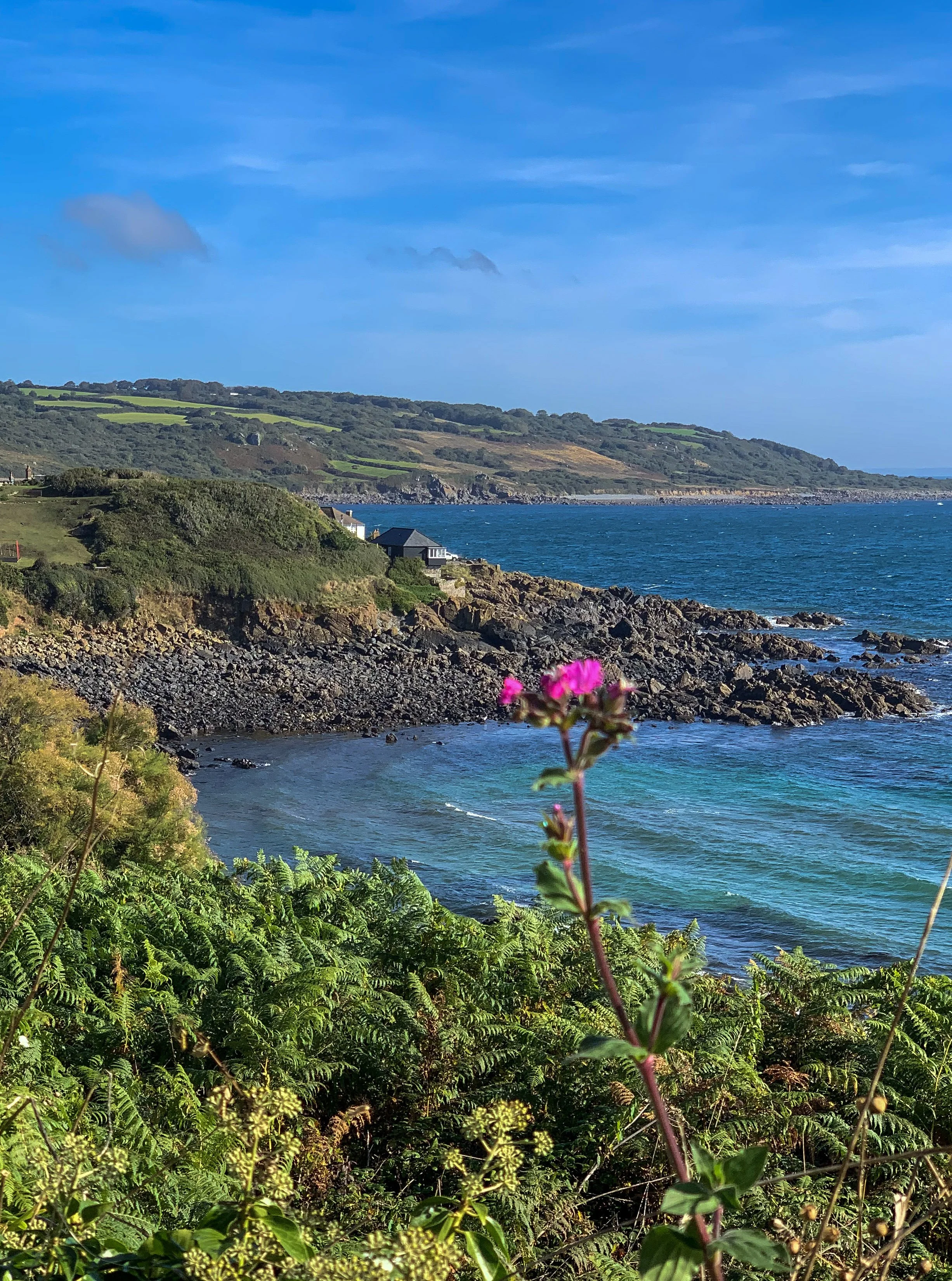 South West Coast Path with views towards Coverack