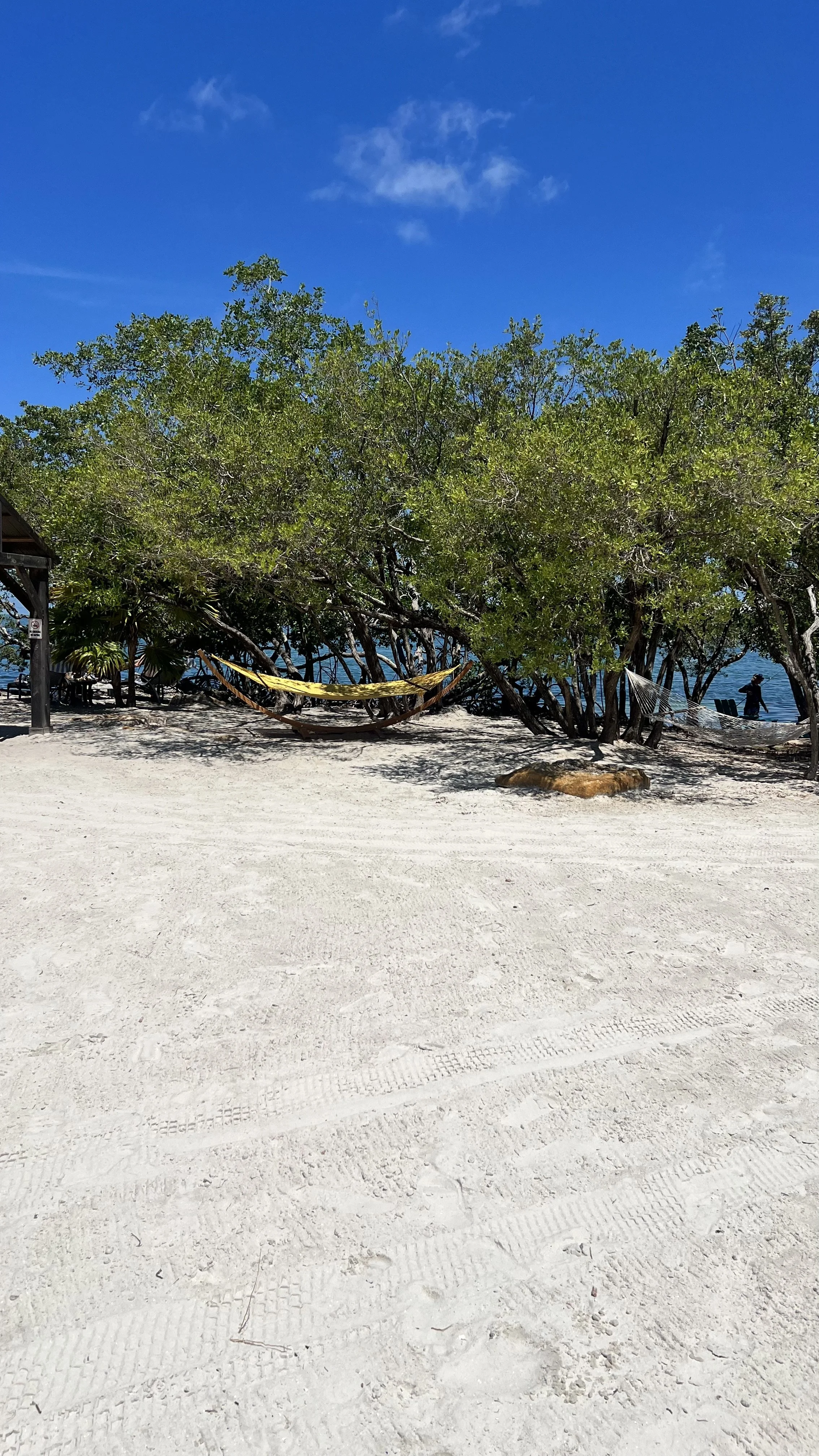IMG_0051.JPG