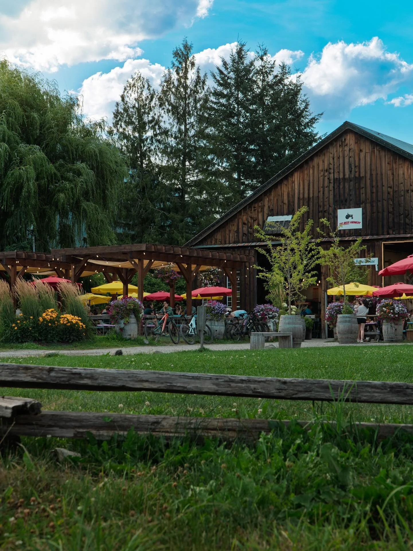 Shaping up to be another perfect Summer day on the farm. Sunflower maze is officially open, Slow Food Cycle is one week away, and the barley is nearly ready for harvest. 

#bccraftbeer #farmlife #pemberton