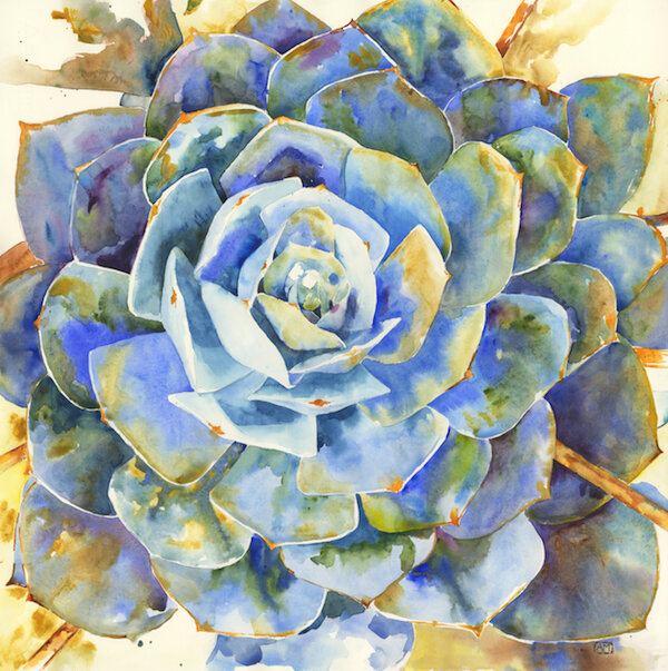 Convergence of Color succulent and cactus paintings