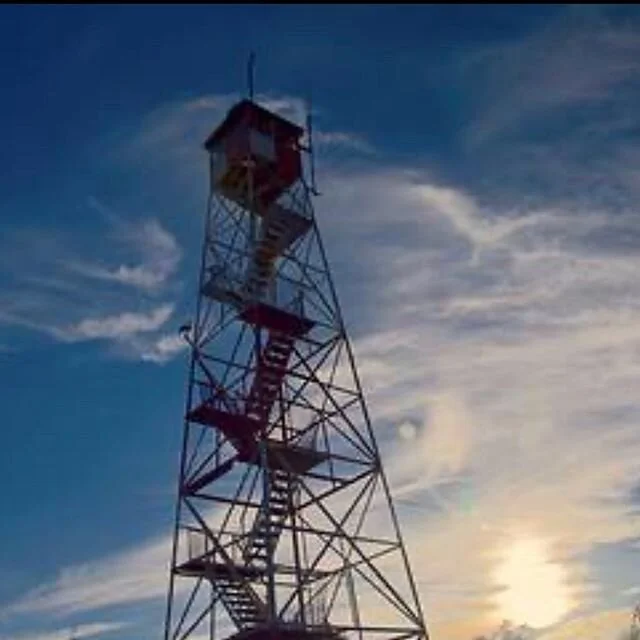 The catfish fire tower in New Jersey...
.
.
.
#boomerstillblooming #atsobo2019 #at2020thruhike #atnobo2020 #atclassof2018 #at #atthruhiker #atsobo #atwomen #crew #pacer #support #appalachiantrail #appalachiantrail2020 #appalachians #atfiretower #fire