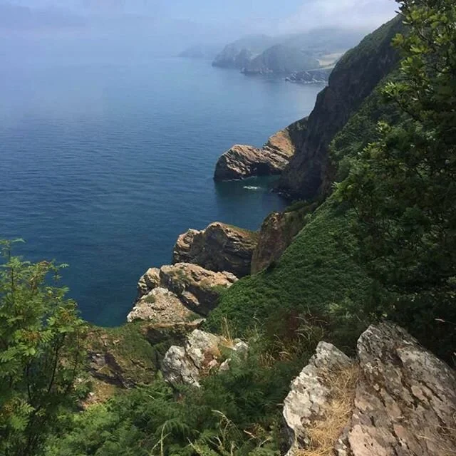 This is the south west path trail. The longest trail in the uk 630 miles. If the attempt on the AT is postponed then this is plan B. to break the record it will have to be run in 10 days. A beautiful part of England. .
.
.
#boomerstillblooming #babyb