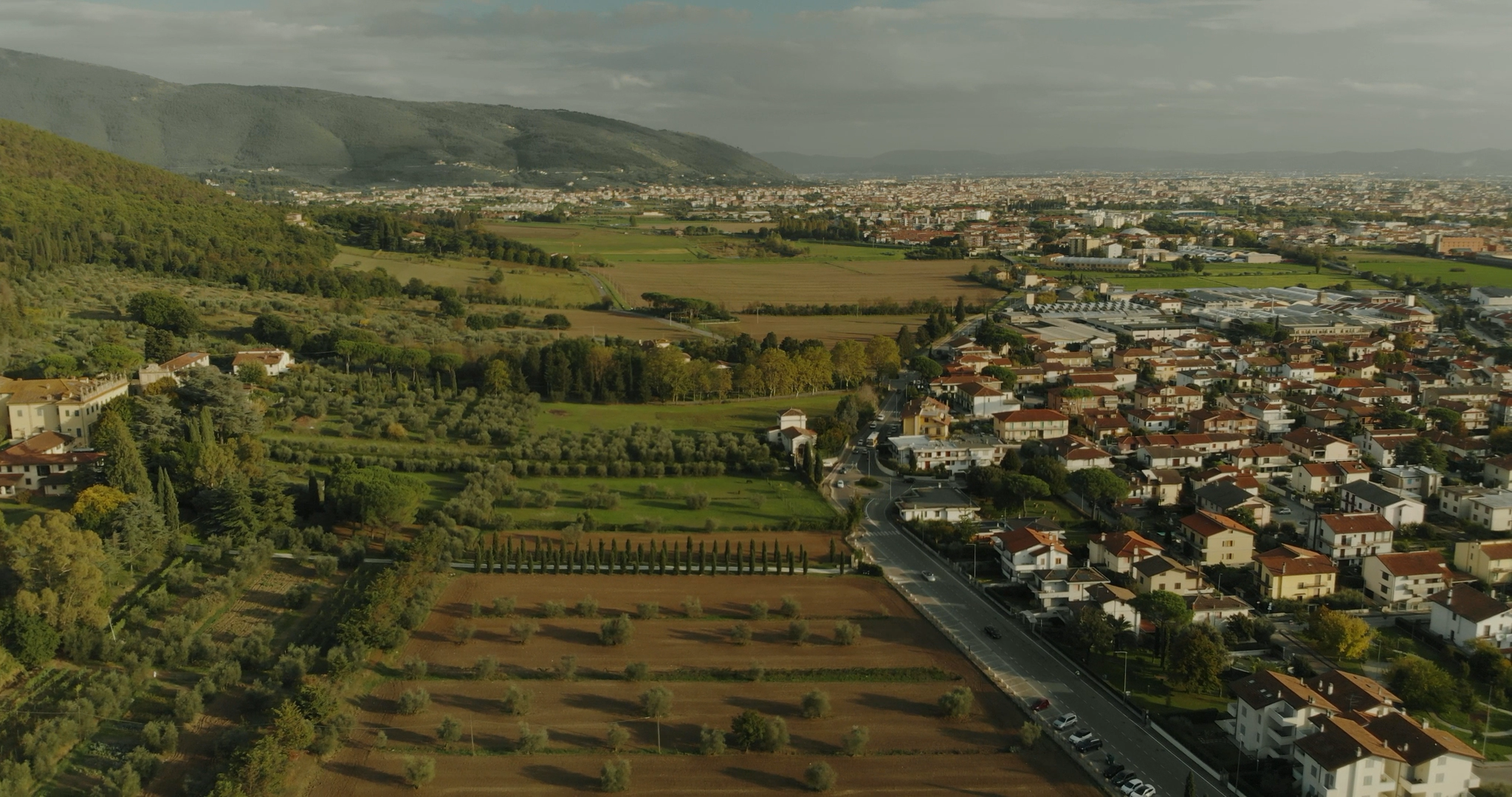 Florenzo_EN-0007.png