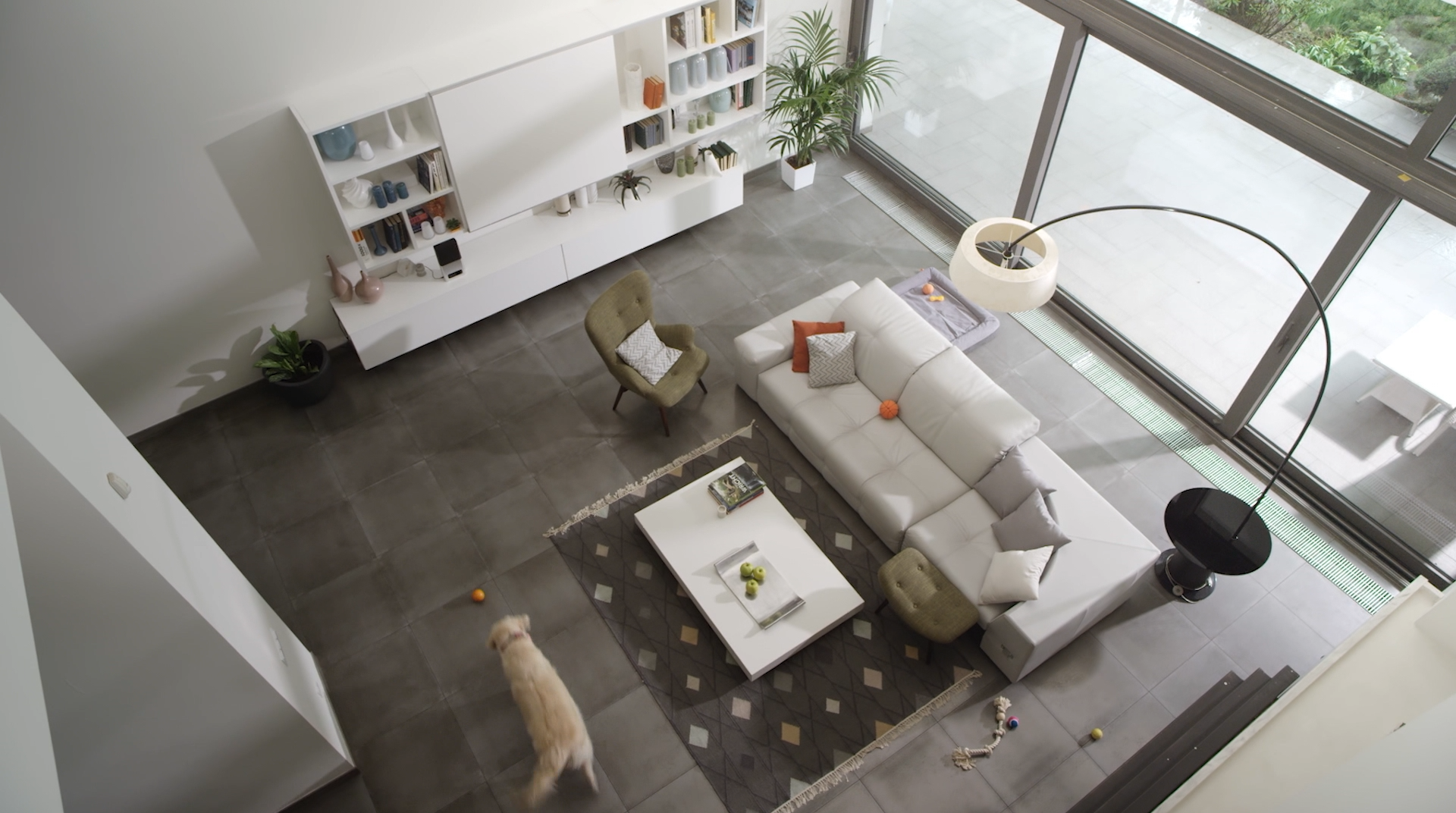Petcube Bites