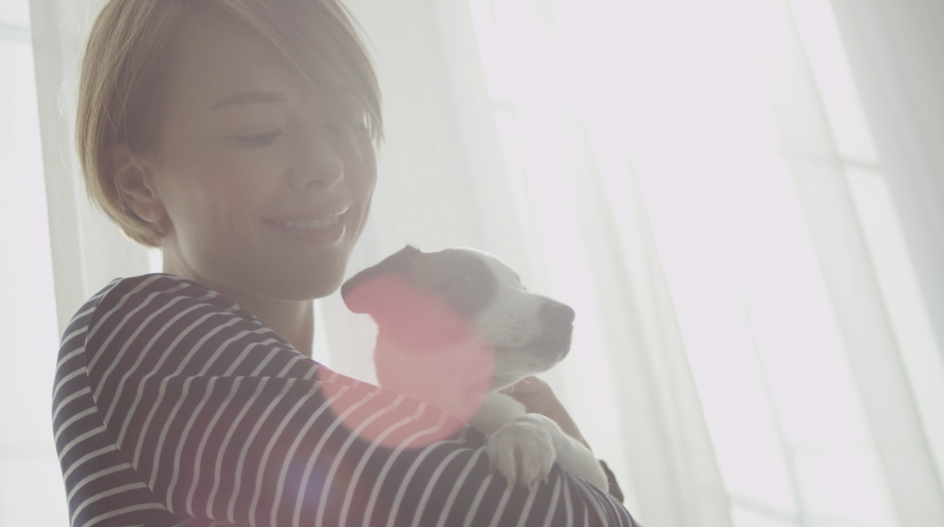 Petcube Play
