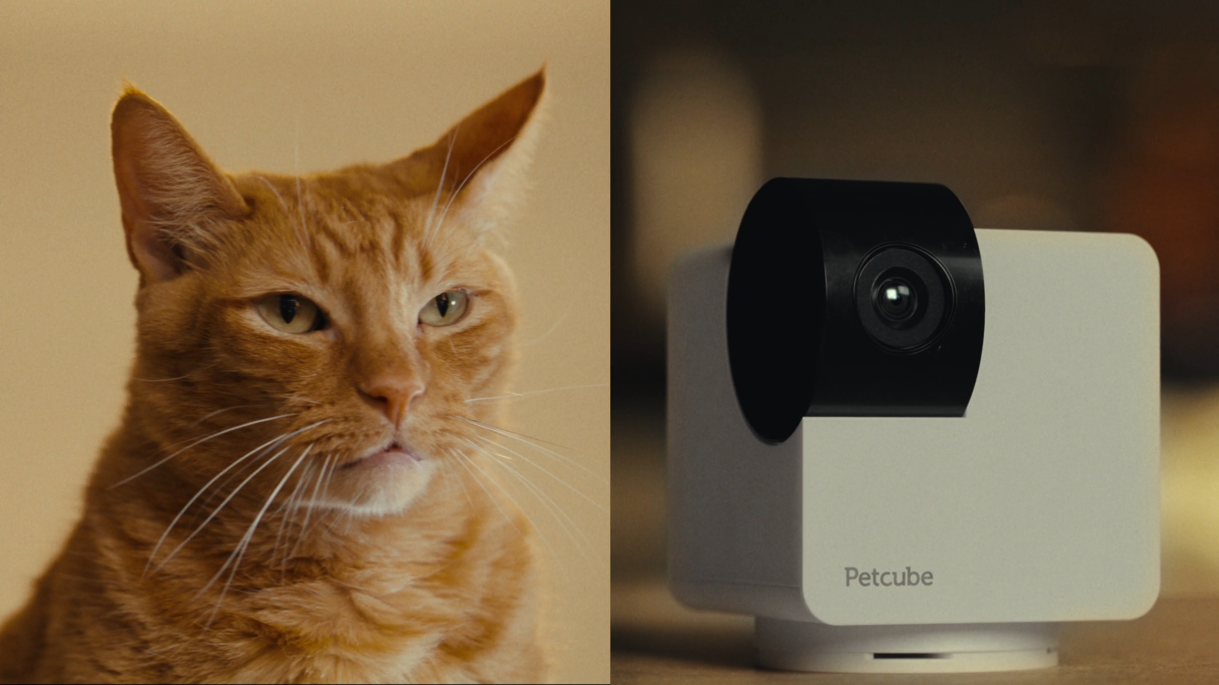 Petcube Cam 360