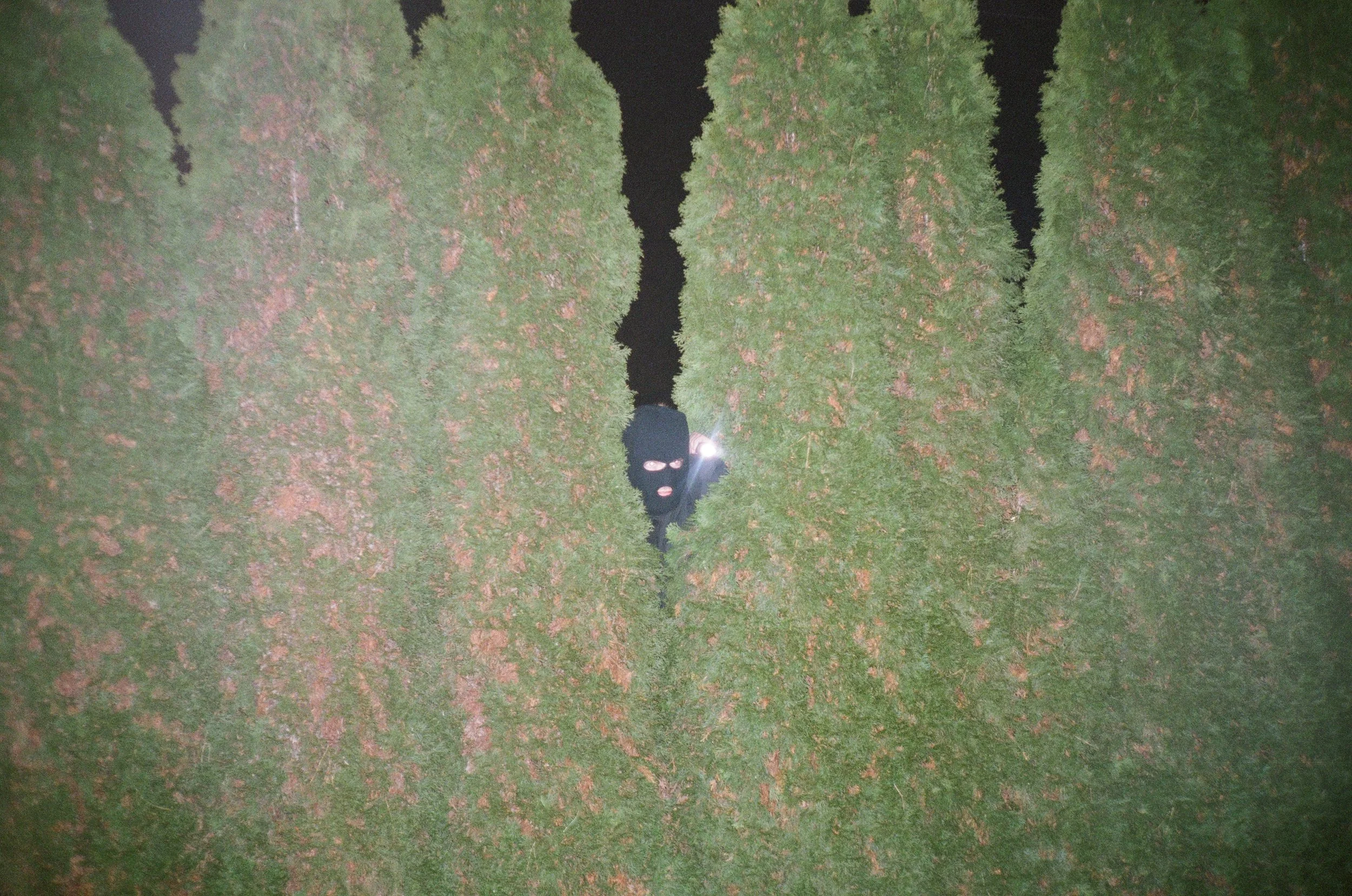 0018_17.jpg