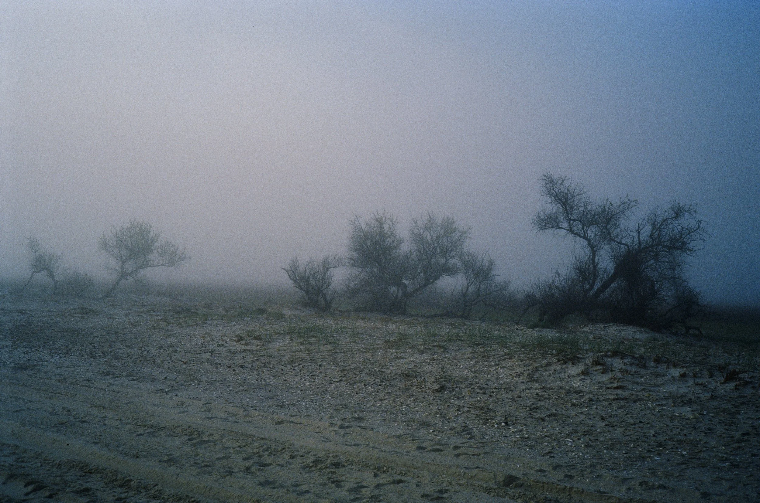 008727200021.jpg