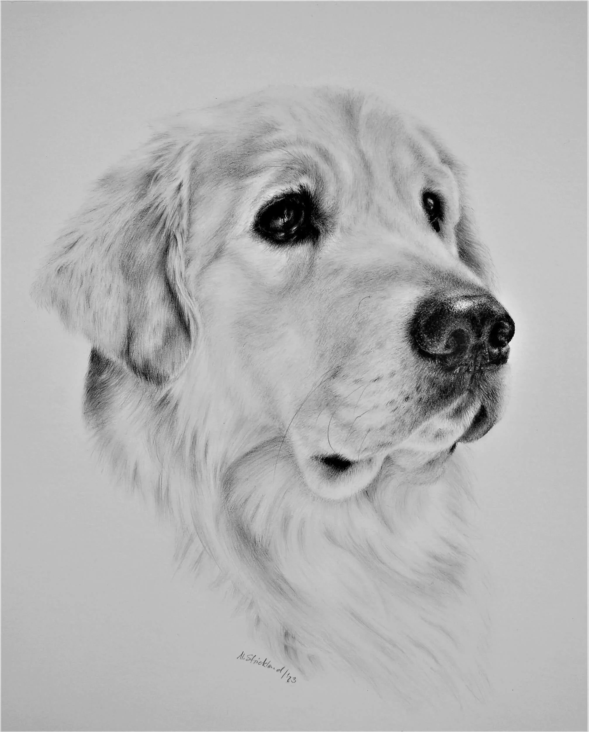 Animal Art