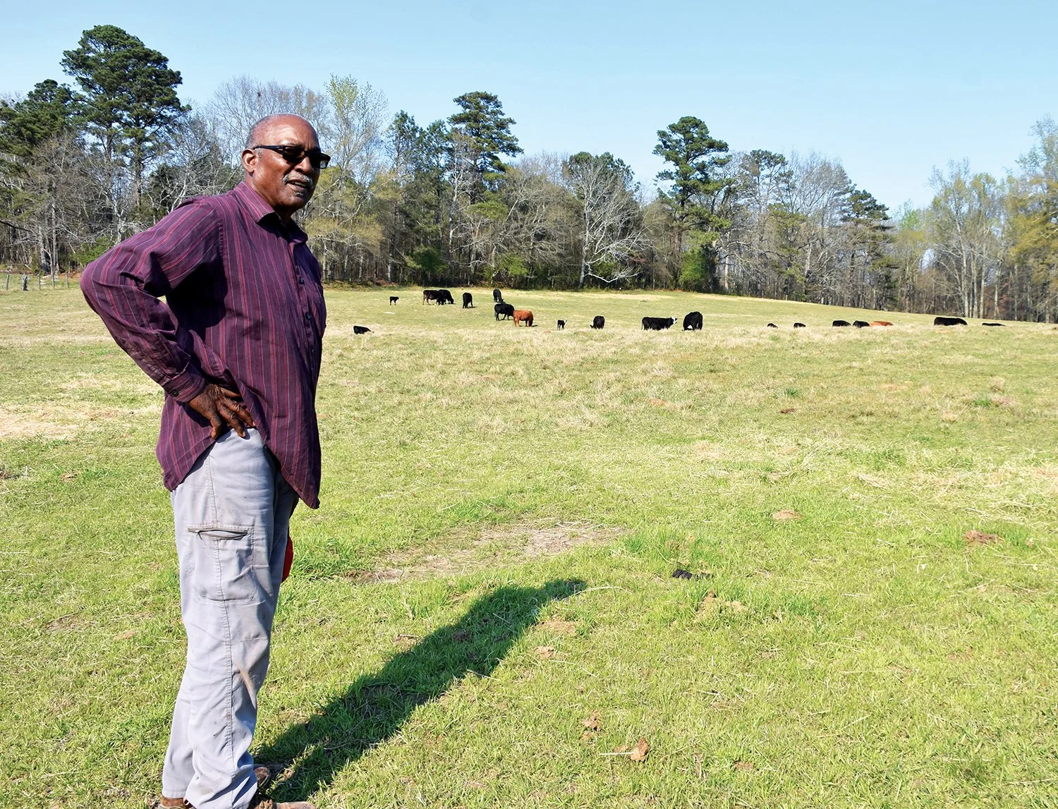 Farmer for Life - Pastor preaches listening, love and cows