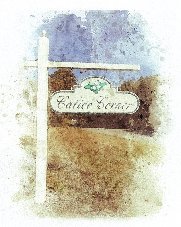 Newnan Coweta Magazine Historic Grantville 