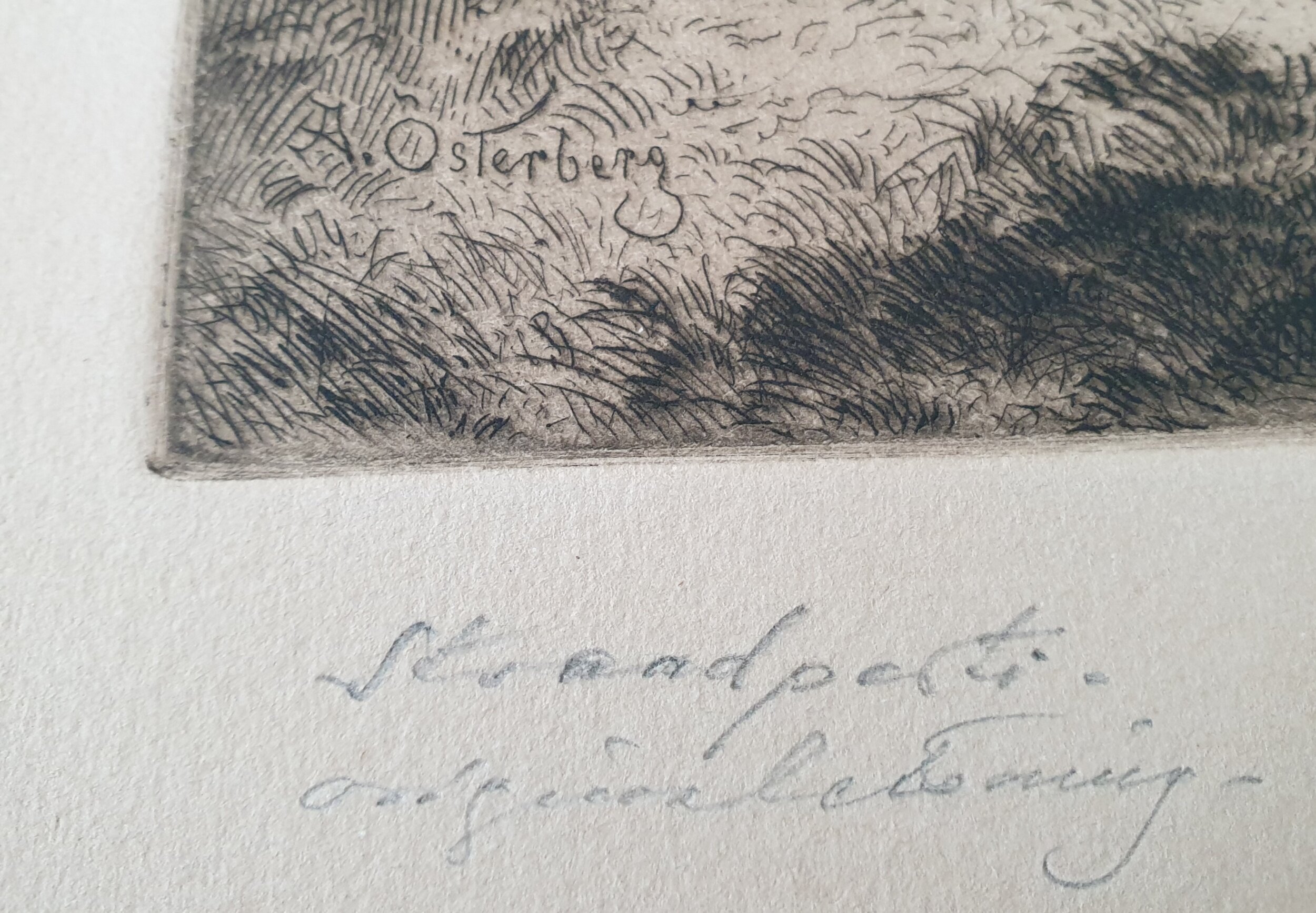  Ruotsalaisen Alex Österbergin etsauksessa on tekijän nimi syövytetty painolaattaan ja teoksen nimi “Strandparti” on sijoitettu kuvan alle vasemmalle.   