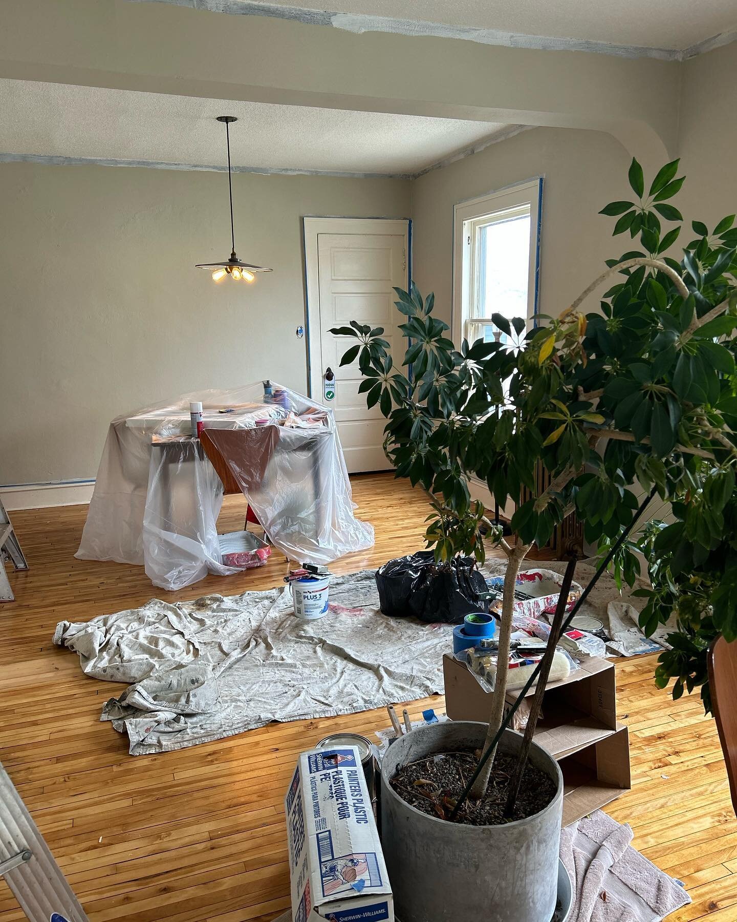 Customer wants to sell their home. Nothing like a fresh coat. What a pretty light sage green for these walls! Call or text Jose 612-309-7934 for a free estimate.