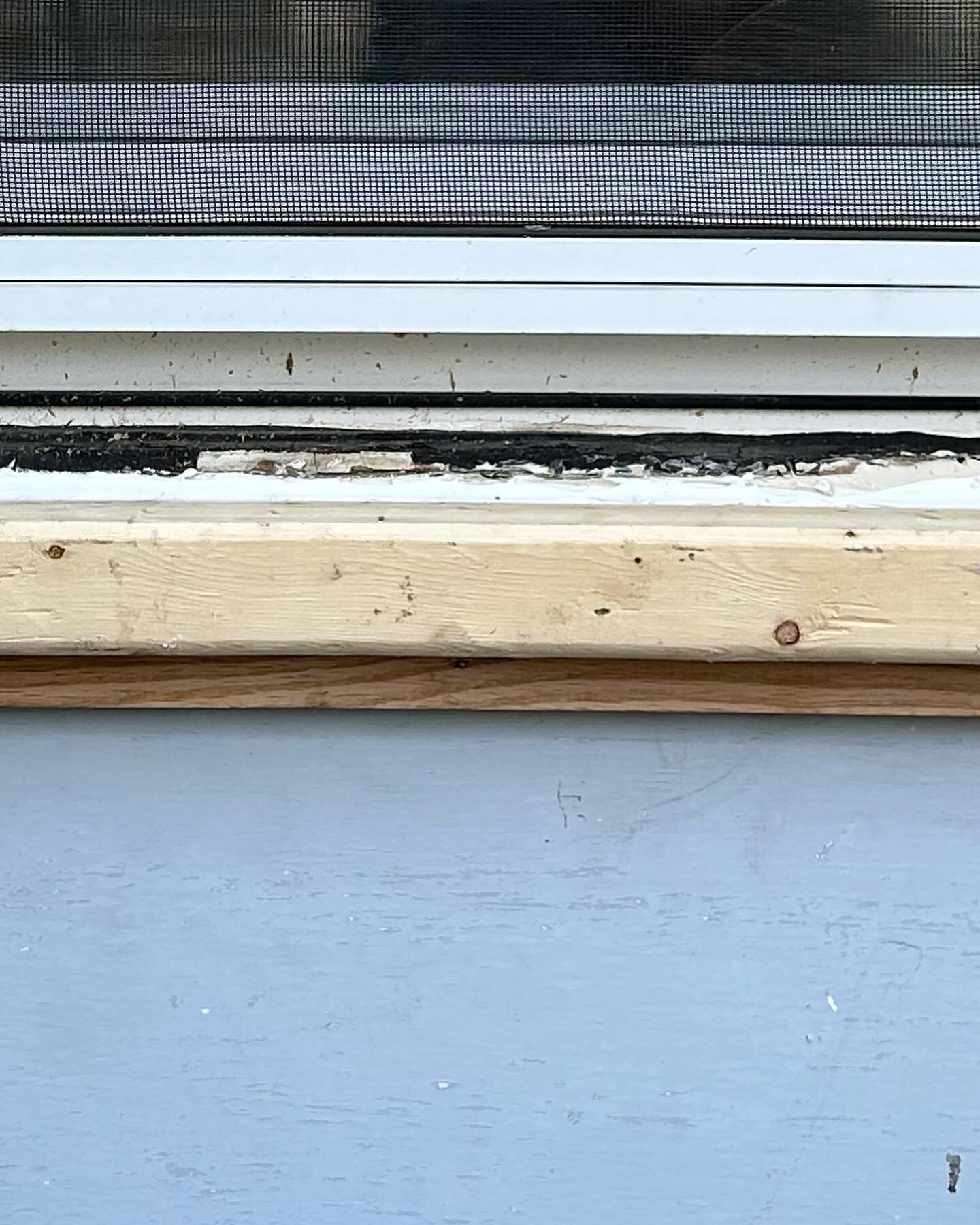 Replaced rotted window trim today. Sometimes necessary prep before painting.