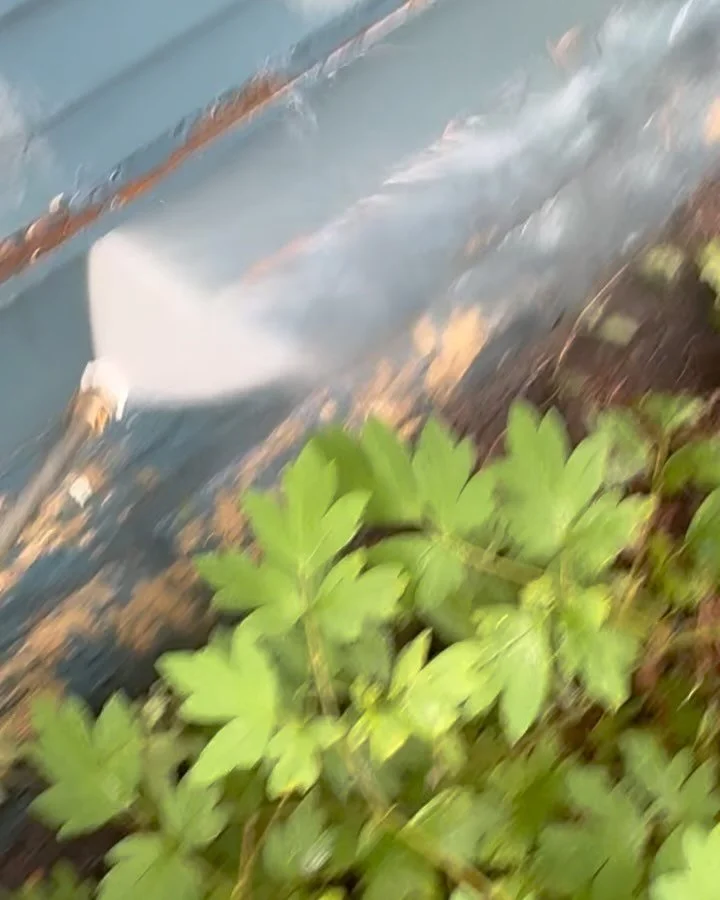 Another very happy customer. Booking later in August. Call or text Jose to talk about your project and get a free estimate. 612-309-7934