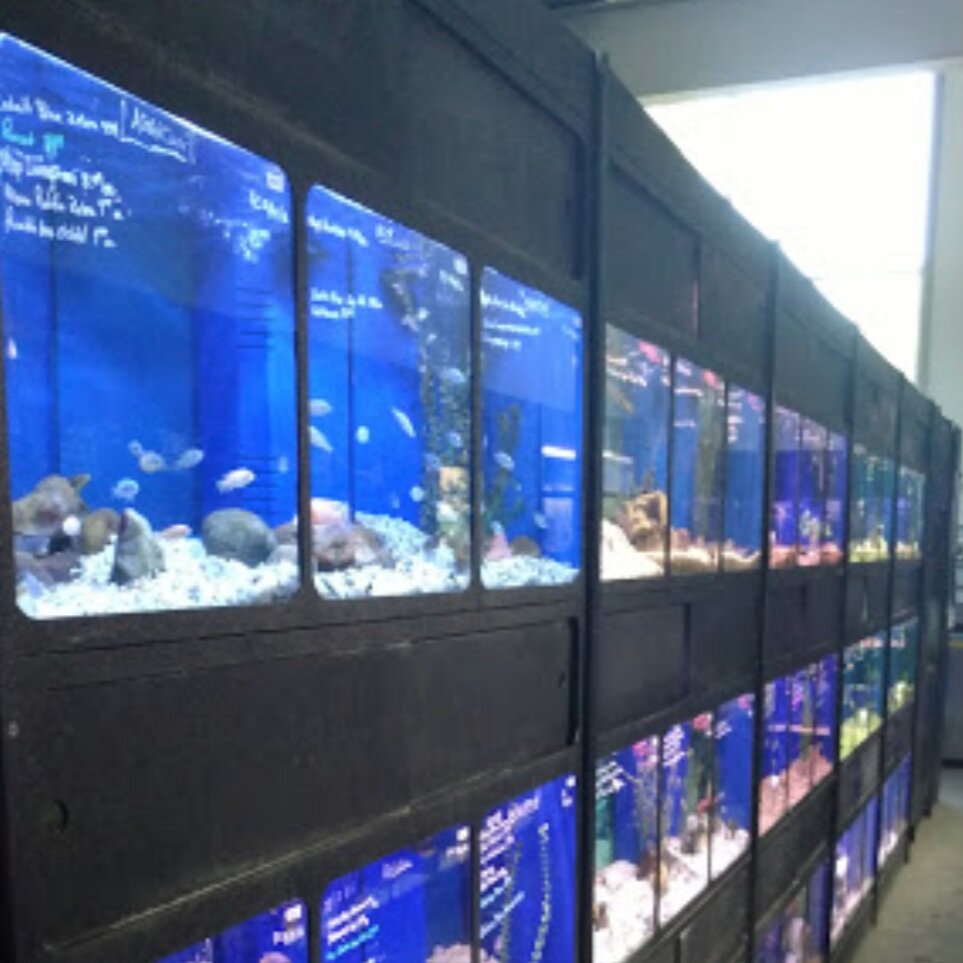 Eddie's Aquarium Centre
