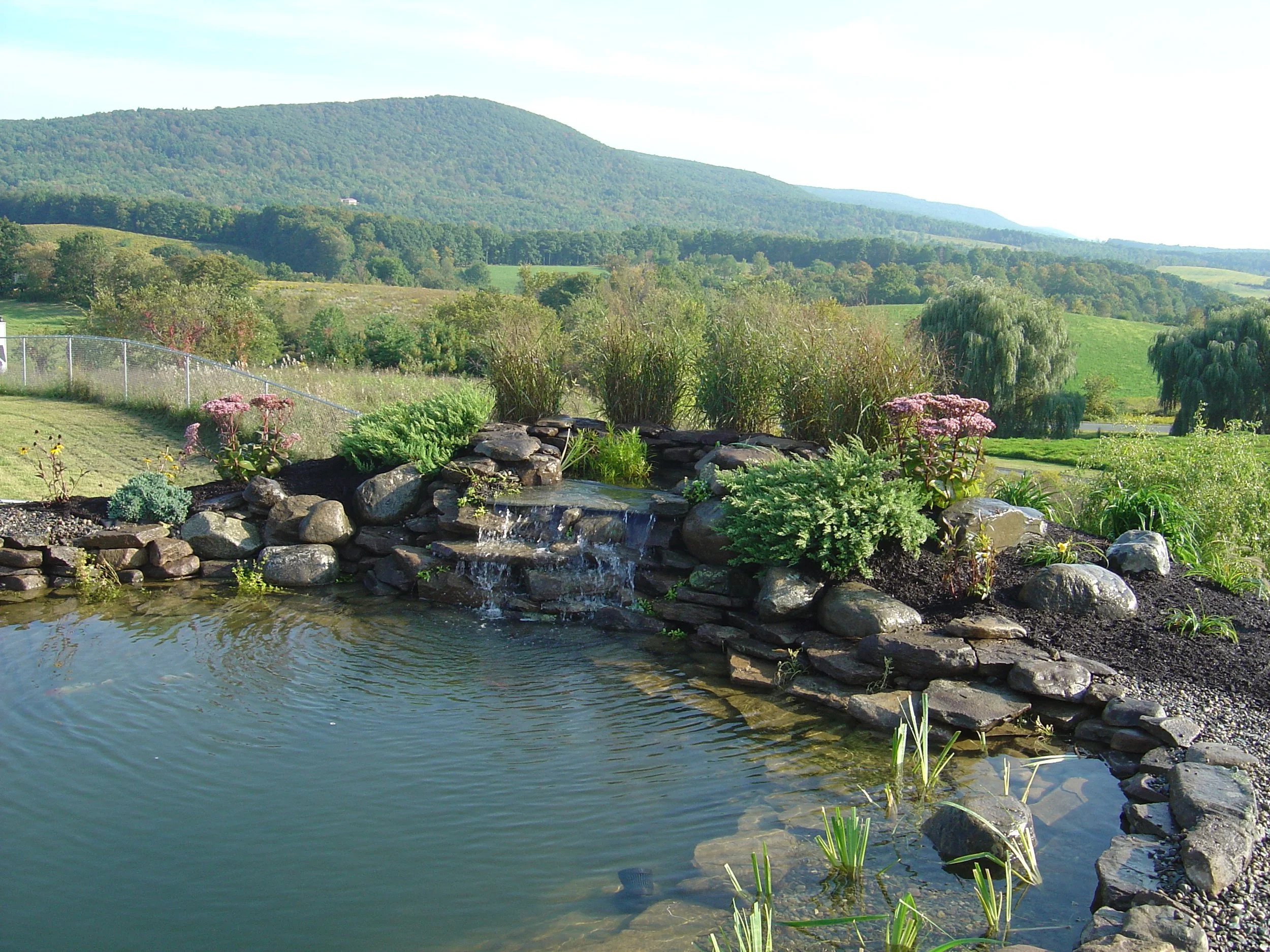 Eddie's Aquarium DIY Pond Kits; Purchase a kit for in store pickup