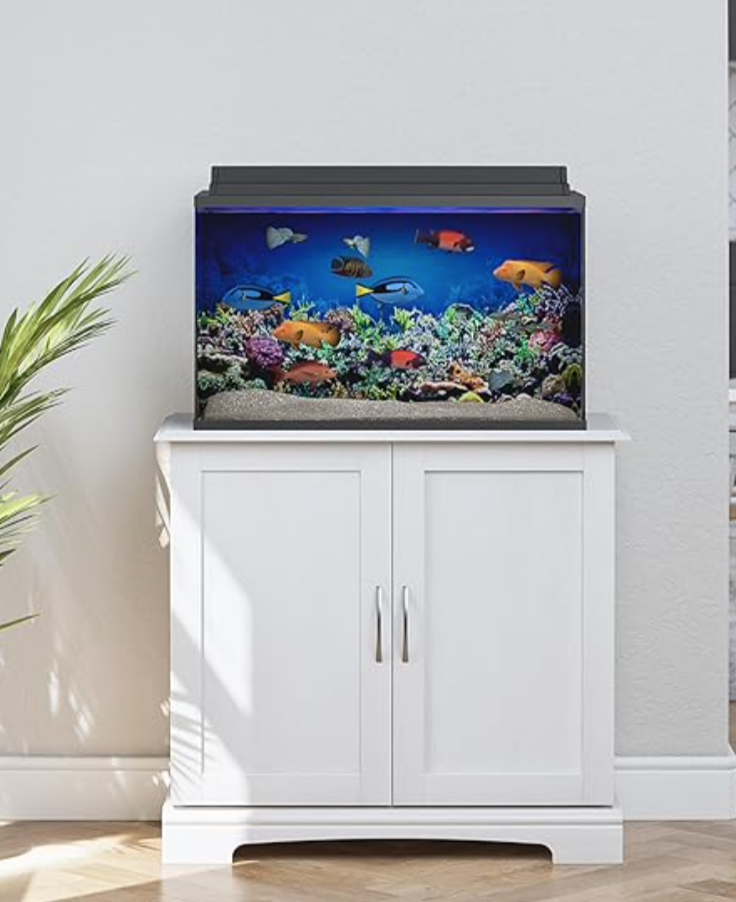 Salt Water Starter Kit:  Eddie's 29 Gallon Starter Kit