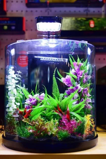 Aquatop Pisces Gallon Nano Bowfront Glass Aquarium Kit — Eddie's