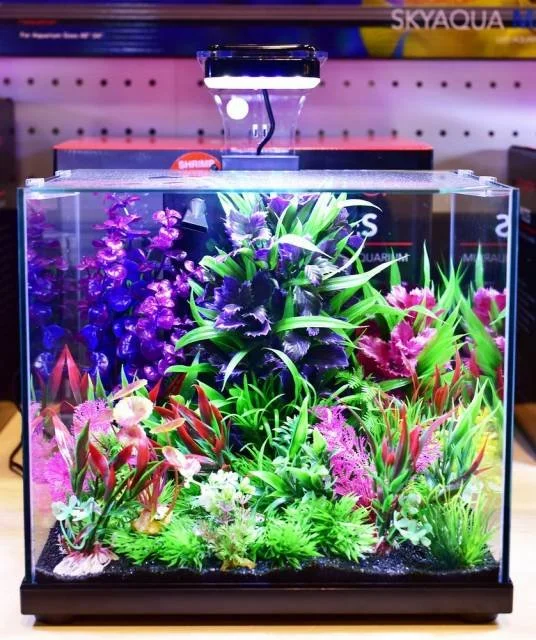 Aquatop Pisces Gallon Nano Cube Glass Aquarium Kit — Eddie's