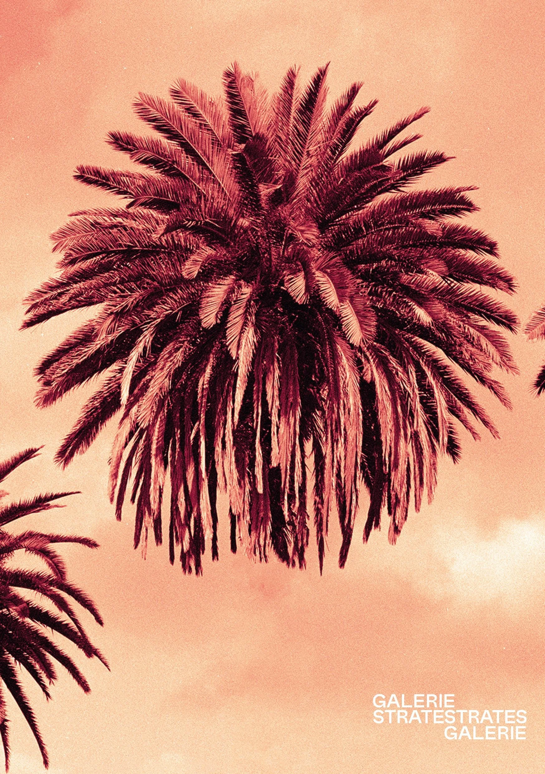 Exposition | Tim Rod | Urgent Paradise | 16.03 - 27.05.23 