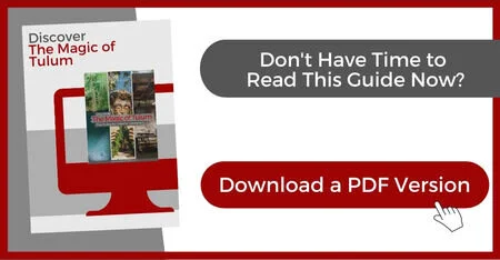 big-Magic of Tulum - Johnson Box.jpg