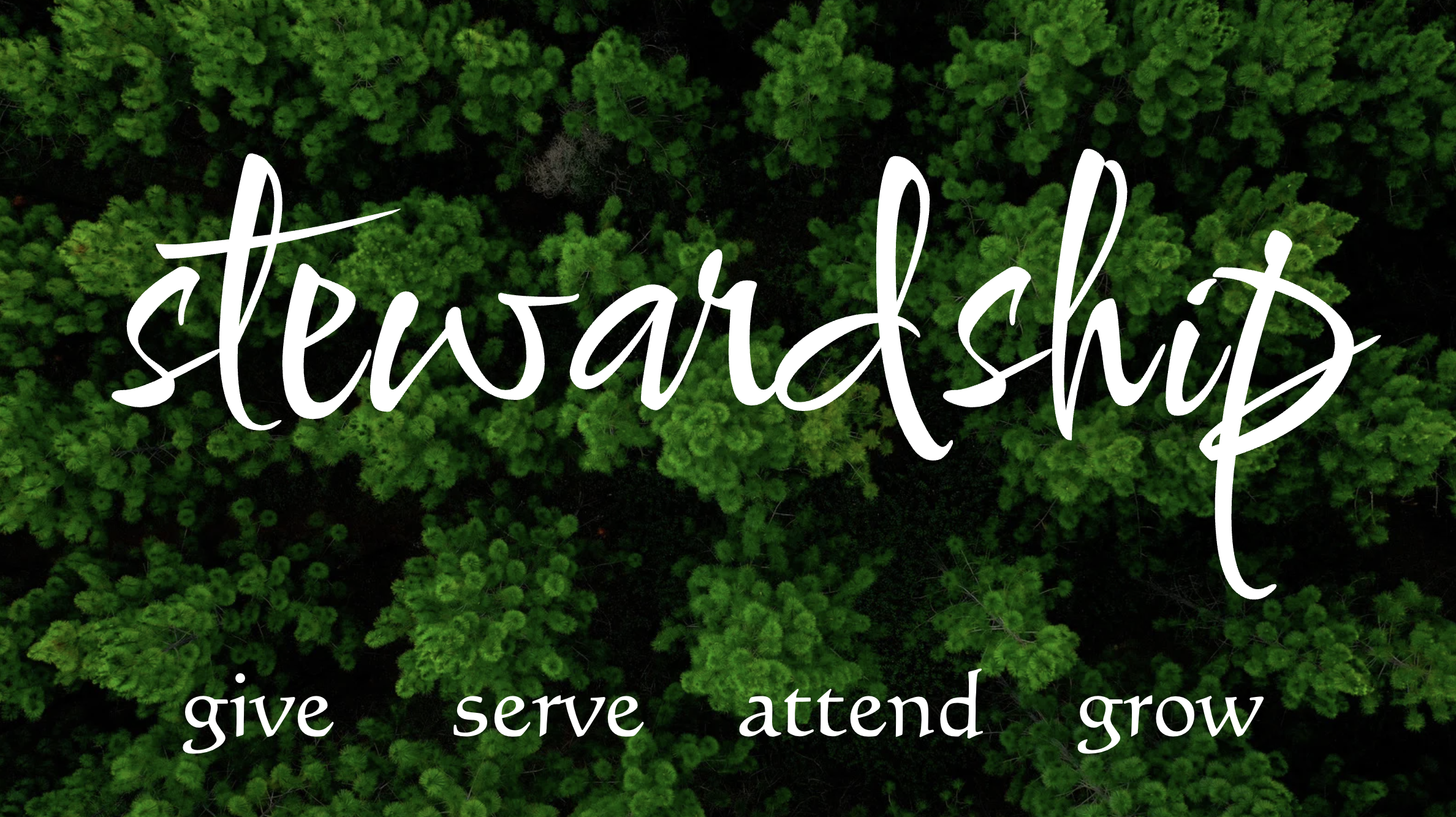 11/9/25 Stewardship – Intentional Practice of Thanks and Love.