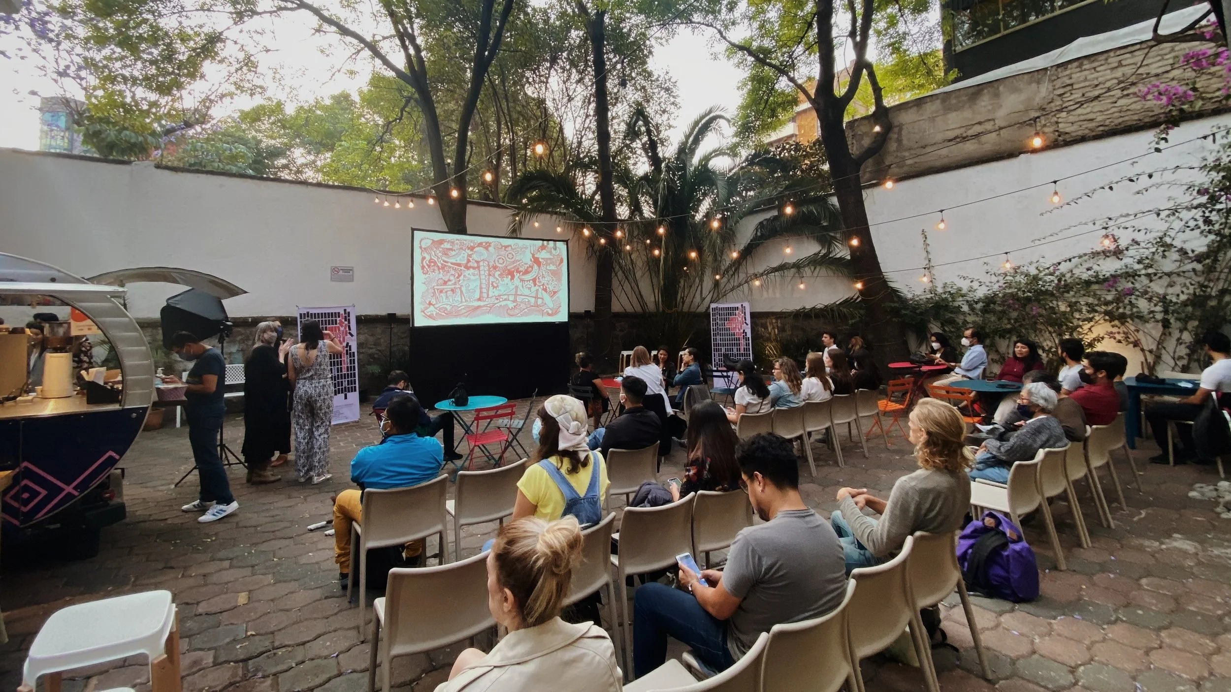 Relevance and Success of PUSH in MEXICO