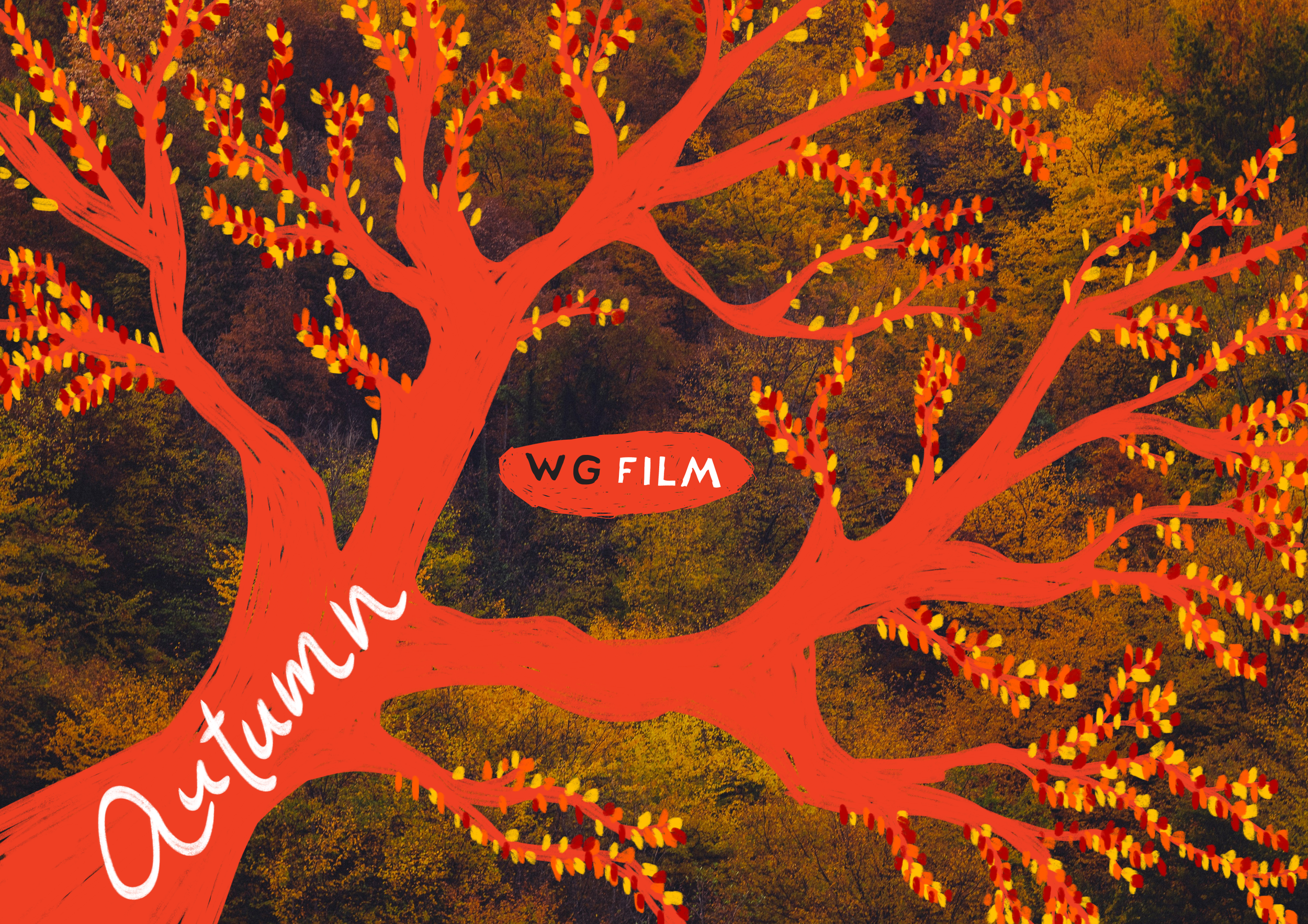 Newsletter: WG Autumn!