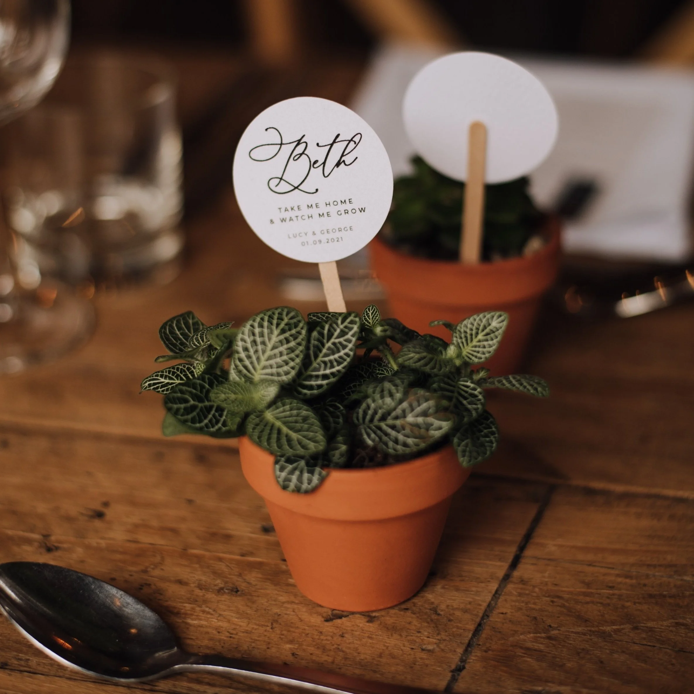 How to: Mini Pot Plant Wedding Favours for Your Guests