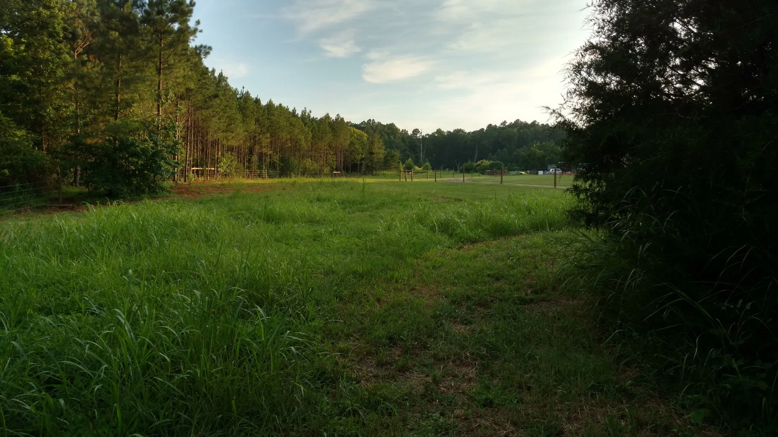 IMG_20170709_194231282_HDR.jpg