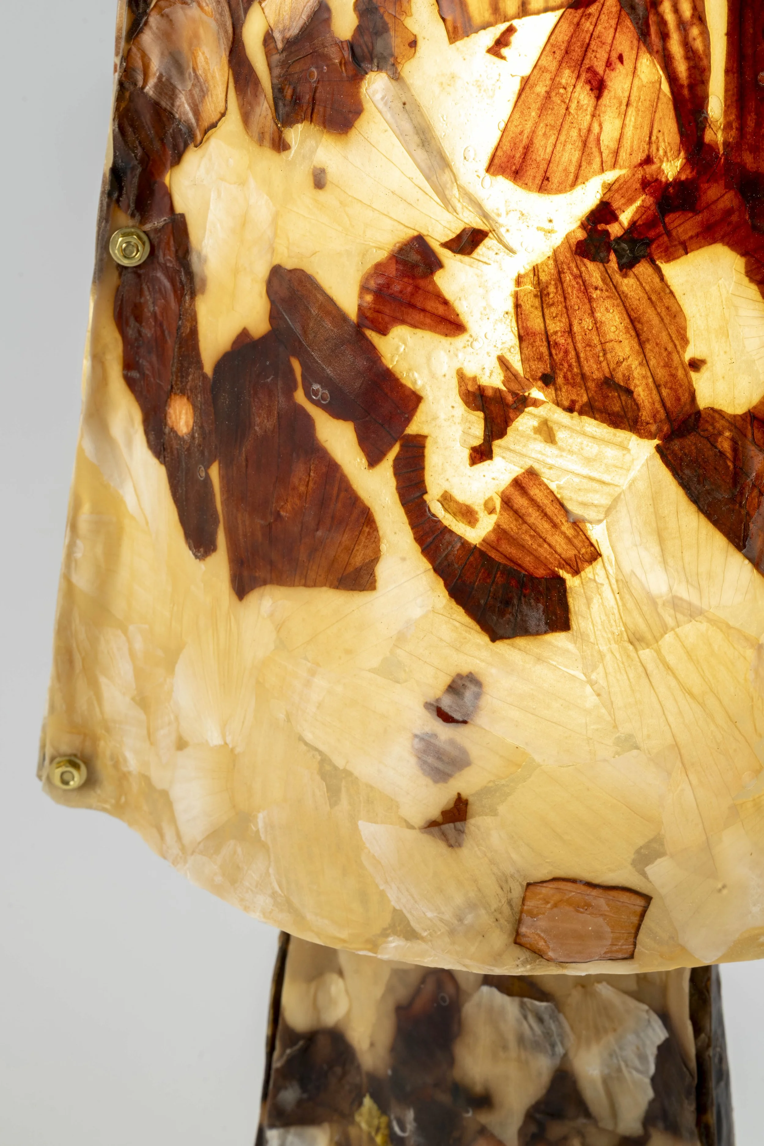 Studio Session-193.jpg