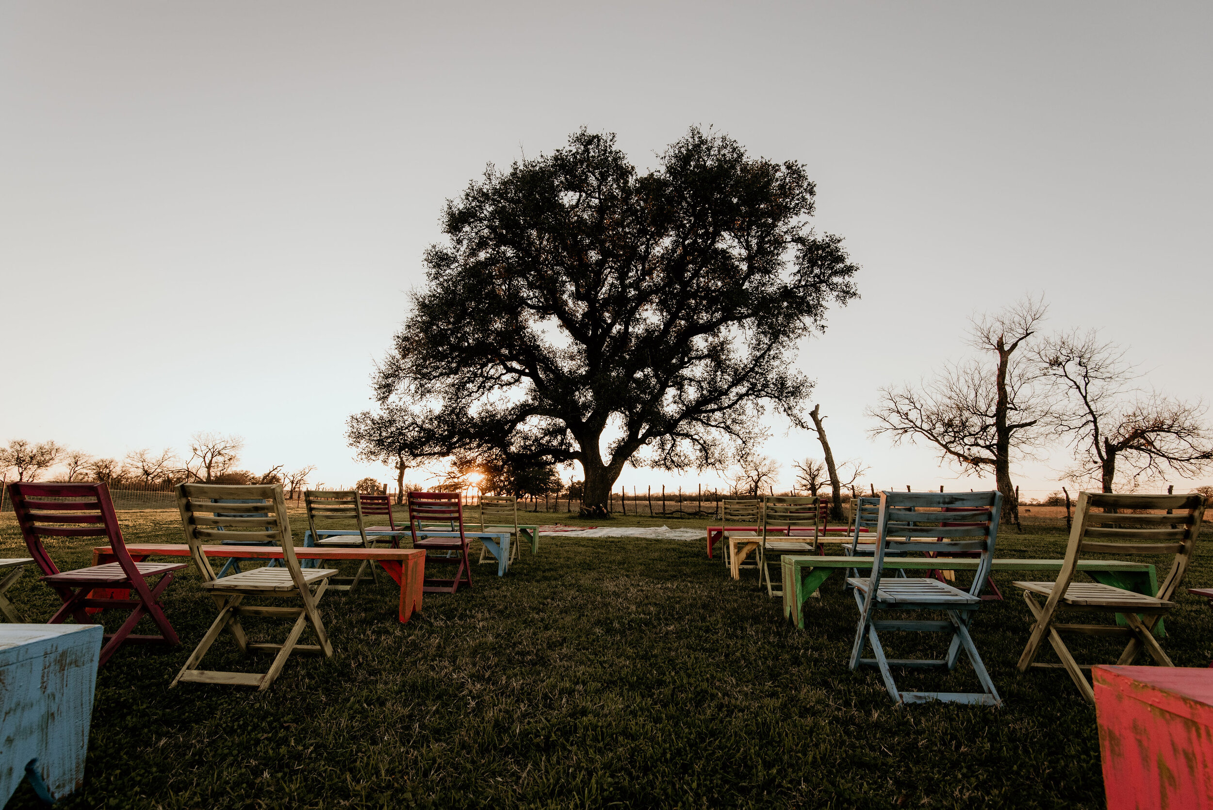 lisahause_gingerland_austinvenue_0063 (1).JPG