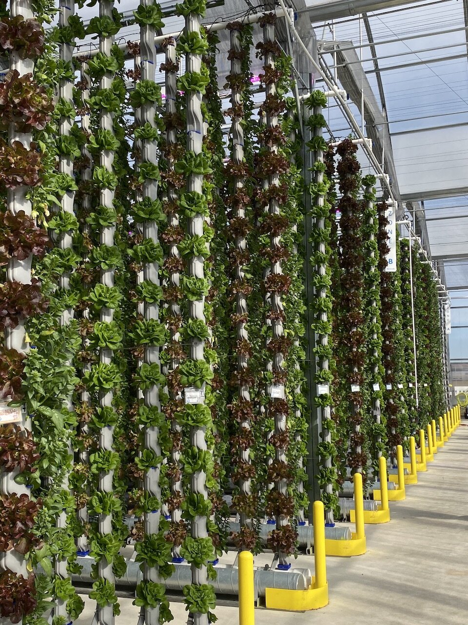 Vertical Farming And Hydroponics Greenhouses Eden Green Technology